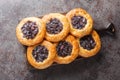 Cebularz lubelski is a round-shaped flatbread topped with diced red onion and poppy seed close-up on a wooden board. Horizontal