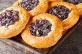 Cebularz Lubelski is a round-shaped Polish Onion poppy flatbread close-up on a wooden board. Horizontal