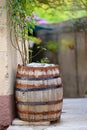 Cedar barrel in a narrow street. Royalty Free Stock Photo