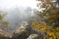 Cedar cliff fog Royalty Free Stock Photo