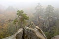 Cedar cliff fog Royalty Free Stock Photo