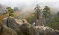 Cedar cliff fog Royalty Free Stock Photo