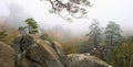 Cedar cliff fog Royalty Free Stock Photo