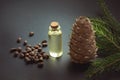 Cedar cone, branches and cedar oil on black. Copy space. Royalty Free Stock Photo