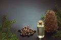 Cedar cone, branches and cedar oil on black. Copy space. Royalty Free Stock Photo