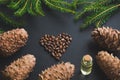 Cedar cone, branches, cedar oil and nuts in shape of heart on black. Royalty Free Stock Photo