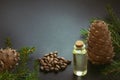 Cedar cone, branches and cedar oil on black. Royalty Free Stock Photo