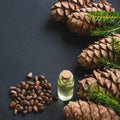 Cedar cone, branches and cedar oil on black. Copy space. Royalty Free Stock Photo