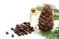 Cedar cone, branches and cedar oil on white background. Close up. Royalty Free Stock Photo