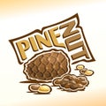 Cedar cone and pine nuts