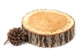 Cedar cone and wood slice, isolated