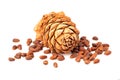 Cedar cones with cedar nuts isolated