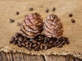 Two cones of cedar with nuts Royalty Free Stock Photo