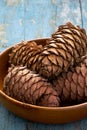 Cedar cones with pine nuts in a bowl Royalty Free Stock Photo