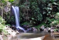 Cedar Creek Falls