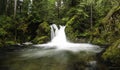 Cedar Creek Waterfalls Royalty Free Stock Photo