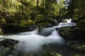 Cedar Creek Waterfalls Royalty Free Stock Photo