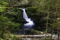 Cedar Creek Waterfalls Royalty Free Stock Photo