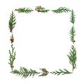 Cedar Cypress Abstract Frame