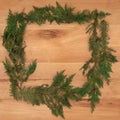 Cedar Cypress Border on Oak Royalty Free Stock Photo