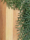Cedar cypress leaf border on wooden background Royalty Free Stock Photo