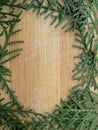 Cedar cypress leaf frame on wooden background Royalty Free Stock Photo