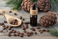 Cedar essential oil amber glass bottle, whole unshelled nuts on bamboo spoon, pine cones and green needle branches on wooden table