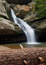 Cedar Falls with Fallen Tree Royalty Free Stock Photo