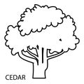 Cedar icon, outline style