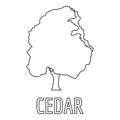 Cedar icon, outline style.
