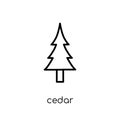 Cedar icon. Trendy modern flat linear vector Cedar icon on white