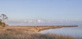 Cedar Island Shoreline - Downeast NC Royalty Free Stock Photo