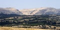 A cedar and juniper forest on middle Taurus Mountains