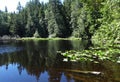 Cedar Lake in early summer on Chuckanut mountain Royalty Free Stock Photo