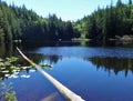 Cedar Lake in early summer on Chuckanut mountain Royalty Free Stock Photo