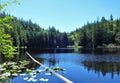 Cedar Lake in early summer on Chuckanut mountain Royalty Free Stock Photo