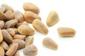 Cedar nut Royalty Free Stock Photo