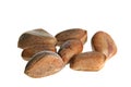 Cedar nut Royalty Free Stock Photo