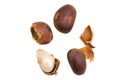 Cedar nut macro Royalty Free Stock Photo