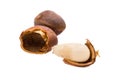 Cedar nut on white macro Royalty Free Stock Photo