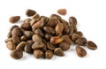 Cedar nuts Royalty Free Stock Photo