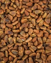 Cedar nuts background. Korean cedar pine Royalty Free Stock Photo