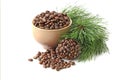 Cedar nuts in the shell in bowl, uncovered cone and sprigs isolated on the white