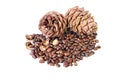 Cedar nuts in the shell with uncovered and unopened cones isolated on the white Royalty Free Stock Photo