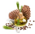 Cedar pine nuts, cones and oi Royalty Free Stock Photo