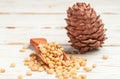 Cedar Pine nuts and cones on white wooden table Royalty Free Stock Photo