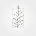 Cedar pine tree leaves minimal icon vector symbol illustration design, line art plant illustration design Royalty Free Stock Photo