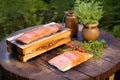 cedar plank and salmon fillet with a lid up smoker Royalty Free Stock Photo