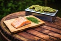 cedar plank and salmon fillet with a lid up smoker Royalty Free Stock Photo