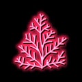 cedar plant aromatherapy neon glow icon illustration Royalty Free Stock Photo